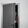 Automatic door closer
