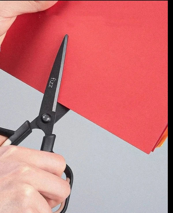 2 in 1 Scissor