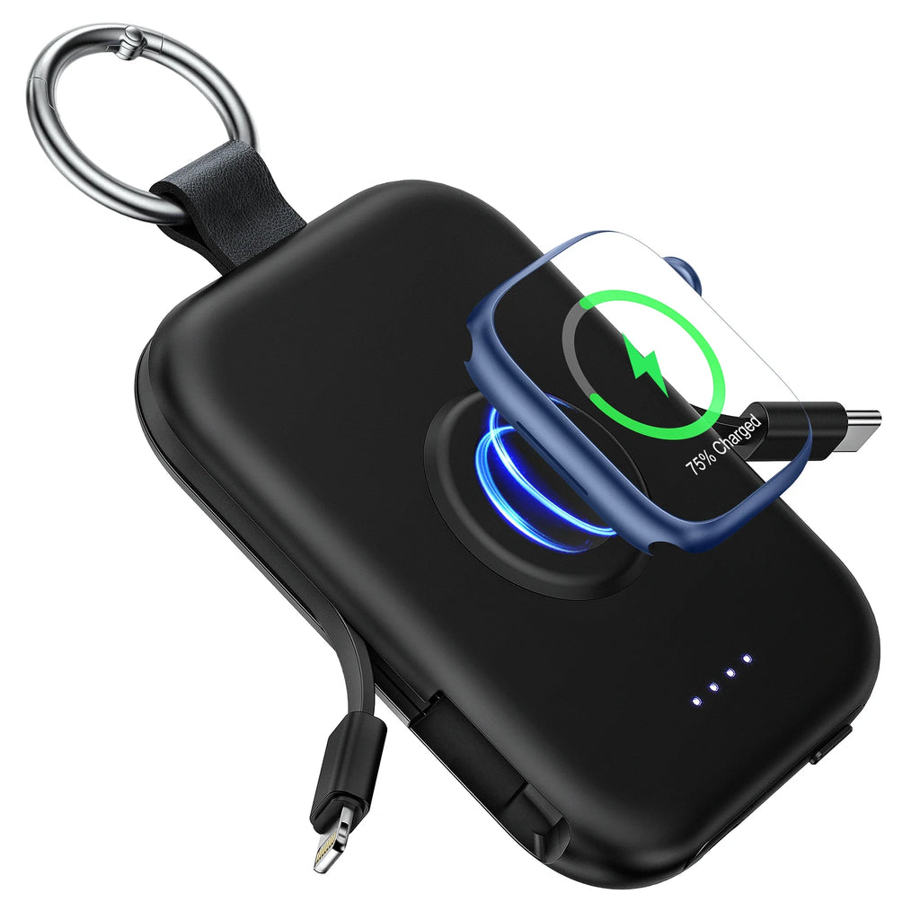 3 in 1 Portable Power Bank
