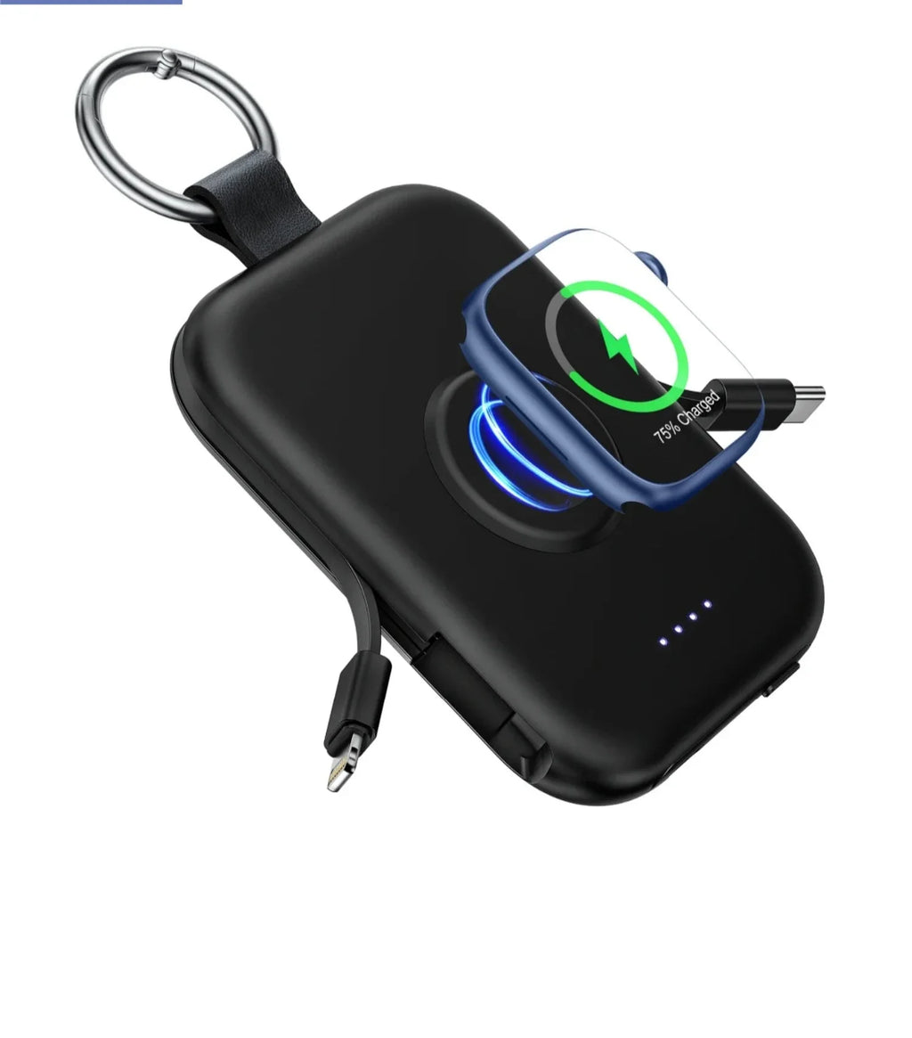 3 in 1 Portable Power Bank