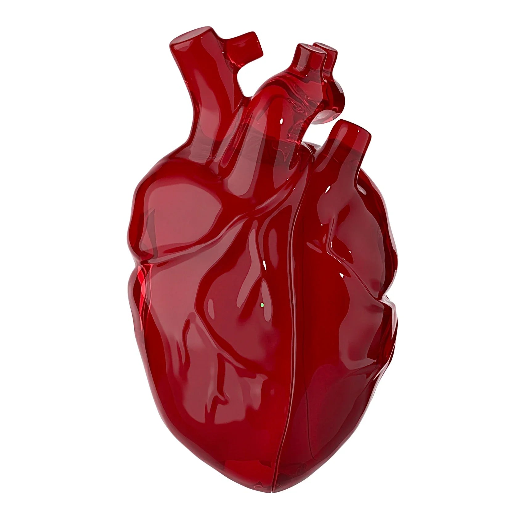 HeartShell  Earbuds Case