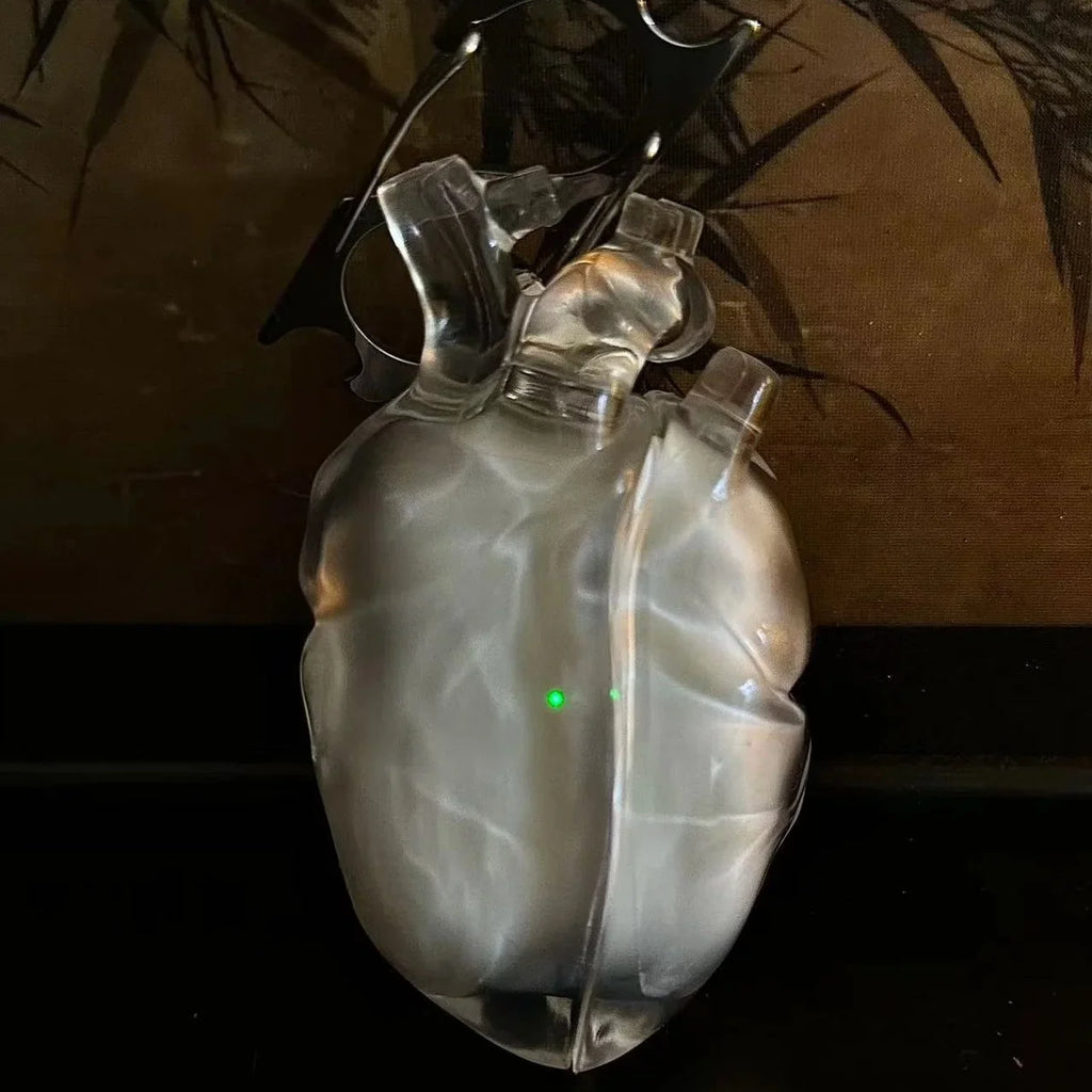 HeartShell  Earbuds Case