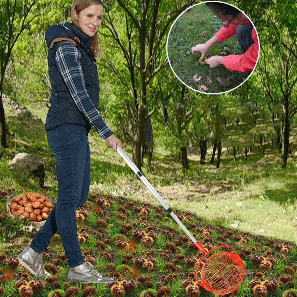 Rolling Nuts Collector