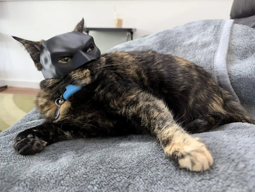 Pet Bat Man Mask