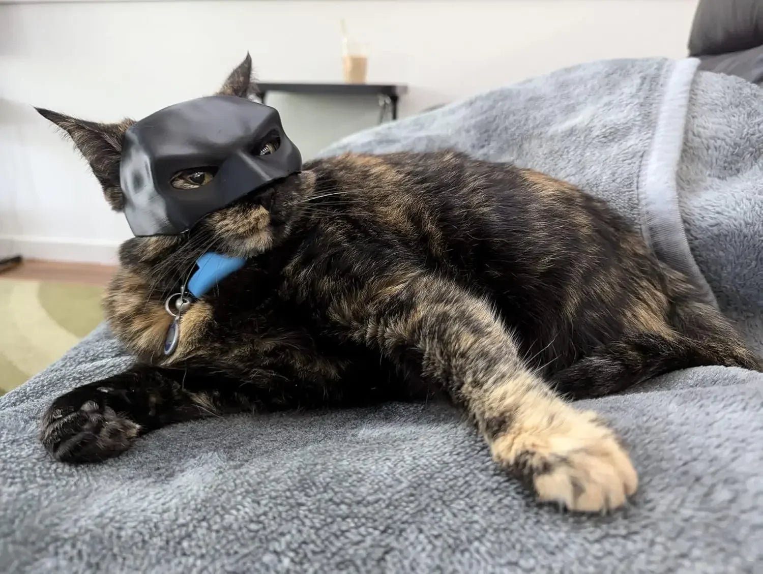 Pet Bat Man Mask