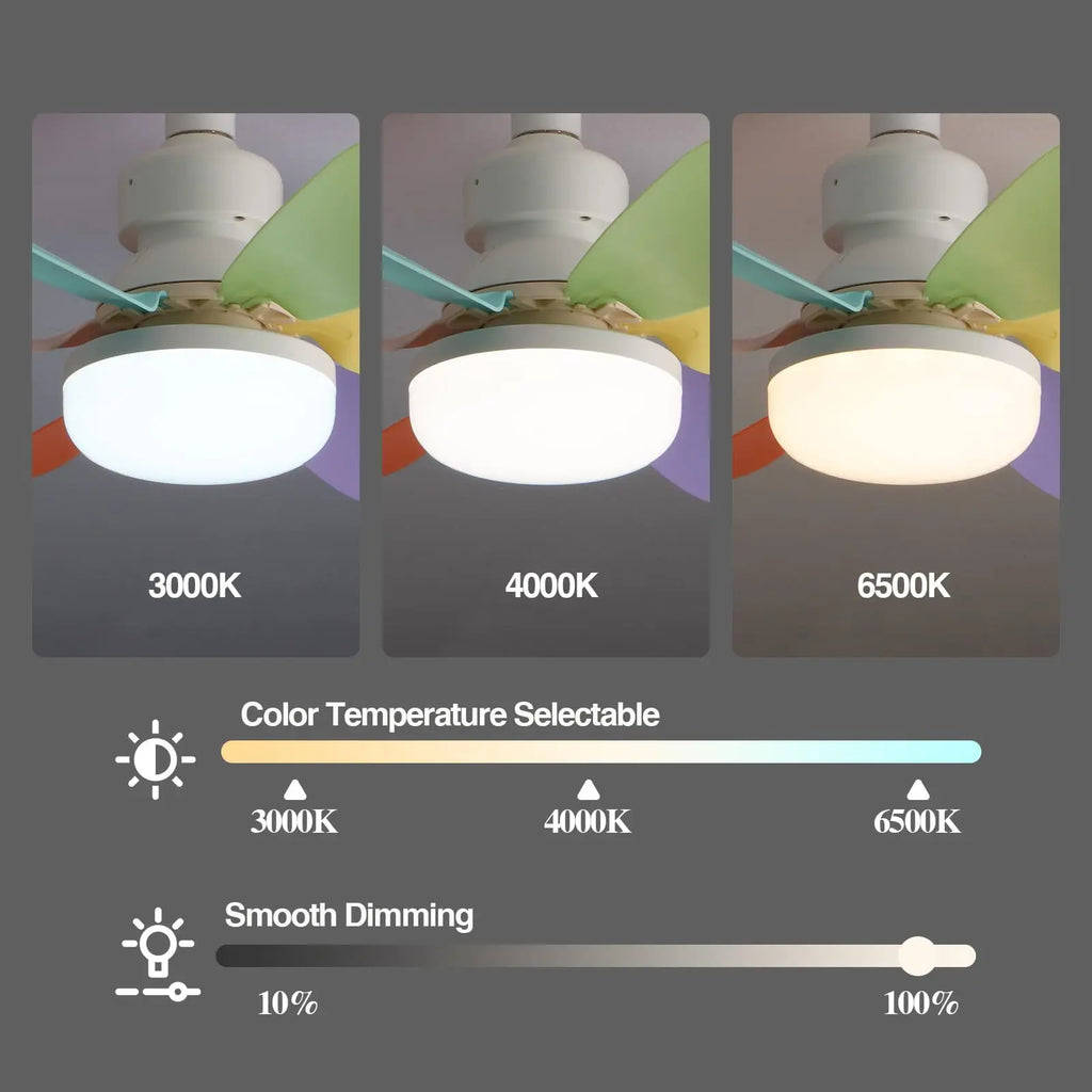 Socket Ceiling Fan with Light