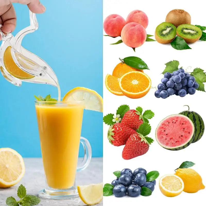 Acrylic Lemon Squeezer