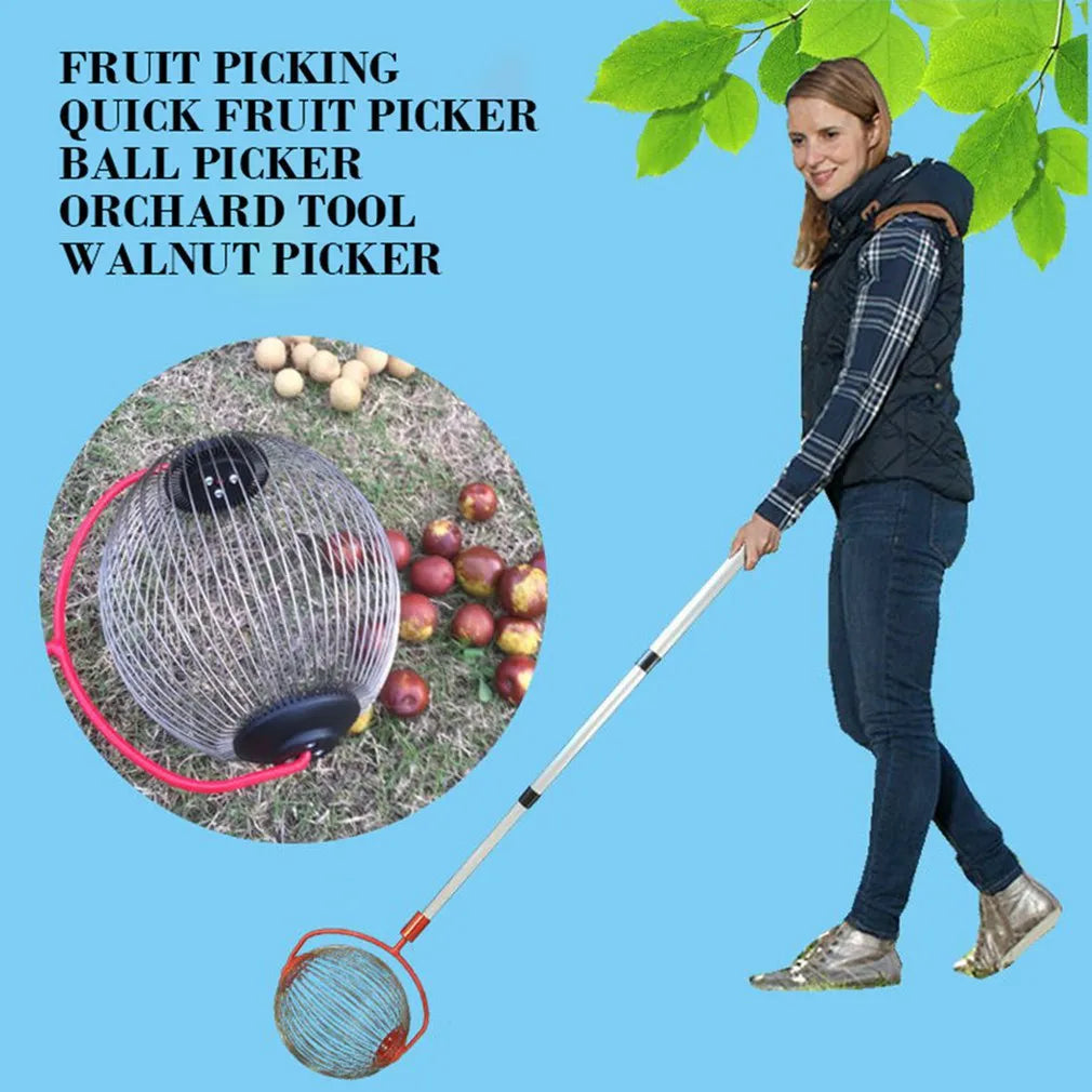 Rolling Nuts Collector