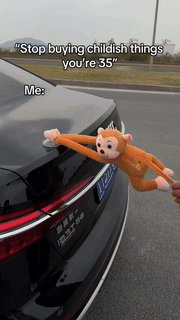 Vehicle Mounted Hanging Monkey Decor