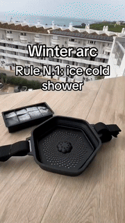 Ice Shower Filter Basket